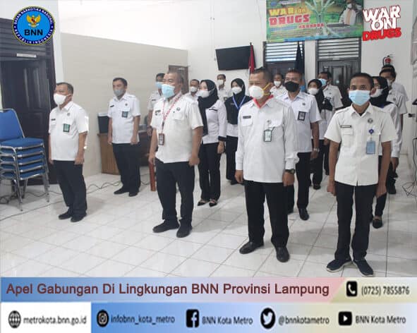 BNN Kota Metro Mengikuti Apel Gabungan Di Lingkungan BNN Provinsi Lampung Konsep Otomatis